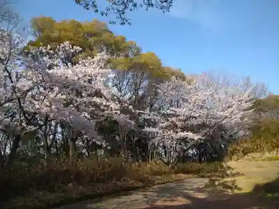 足高神社の自然