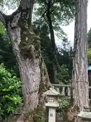 日枝神社(福井県)