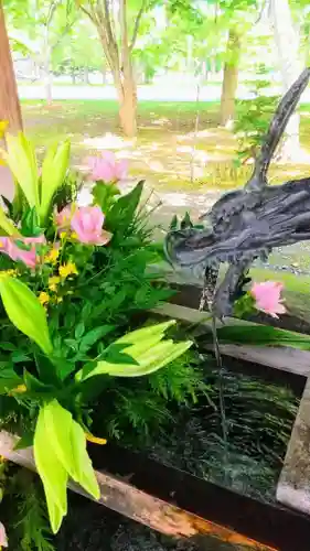 彌彦神社　(伊夜日子神社)の手水舎