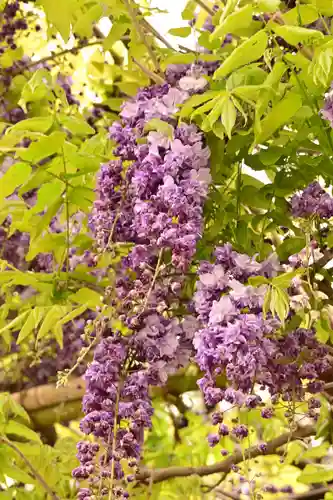 笠間稲荷神社(茨城県)
