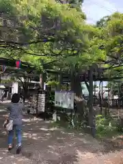 國領神社の庭園