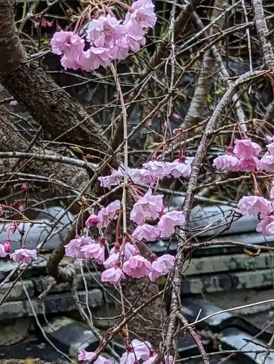 十輪寺(京都府)