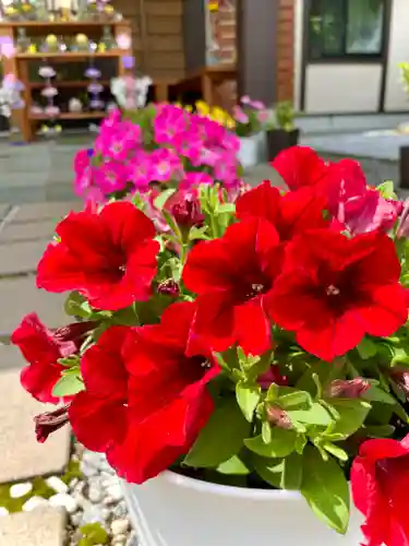 伊達神社(北海道)