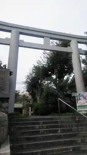 新宿下落合氷川神社の鳥居