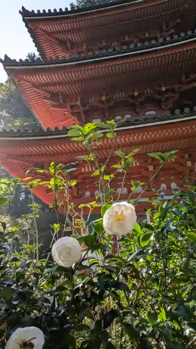 岩船寺(京都府)
