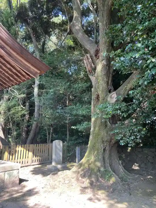 砥鹿神社(里宮)(愛知県)