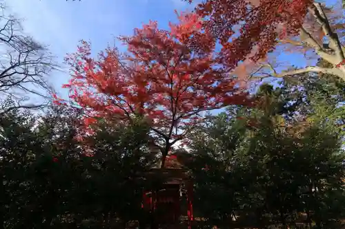 神炊館神社 ⁂奥州須賀川総鎮守⁂の末社