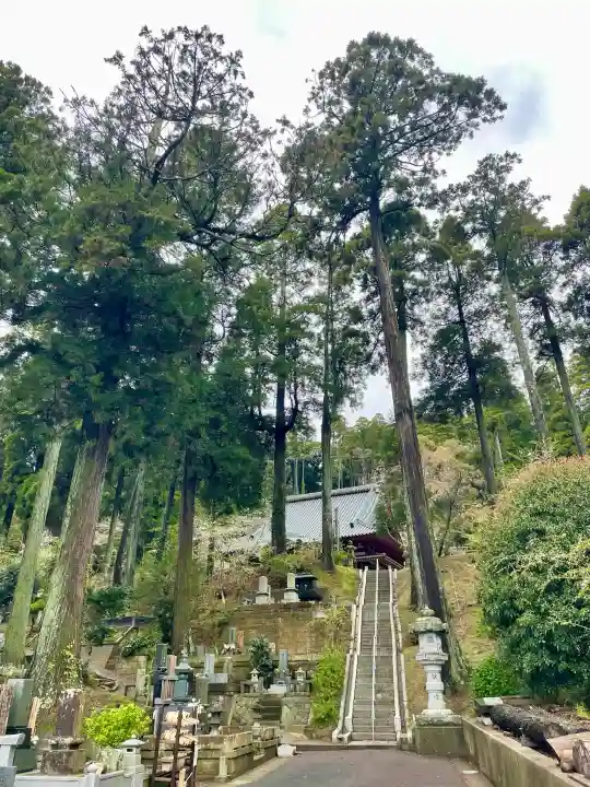 本漸寺の{uncategorized: "未分類", other: "その他", undefined: "問題あり", building: "その他建物", grave: "お墓", sacred_gate: "鳥居", guardian: "狛犬", statue: "像", buddha: "仏像", history: "歴史", nature: "自然", garden: "庭園", animal: "動物", pagoda: "塔", temizu: "手水舎", mountain_gate: "山門・神門", sanctuary: "本殿・本堂", subordinate: "末社・摂社", art: "芸術", scenery: "景色", jizo: "地蔵", ema: "絵馬", goshuin: "御朱印", omikuji: "おみくじ", items: "授与品その他", amulet: "お守り", goshuincho: "御朱印帳", eats: "食事", festival: "お祭り", votive_dance: "神楽", shichigosan: "七五三参", wedding: "結婚式", experience: "体験その他", initially: "初詣", around: "周辺", anti_infection: "感染症対策"}