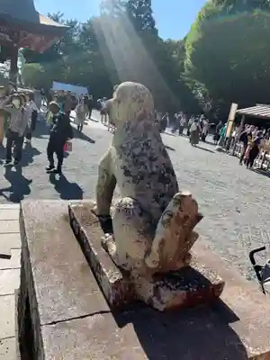 鶴岡八幡宮の狛犬