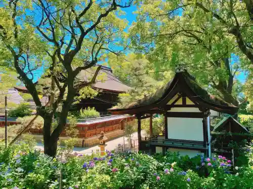 藤森神社の{uncategorized: "未分類", other: "その他", undefined: "問題あり", building: "その他建物", grave: "お墓", sacred_gate: "鳥居", guardian: "狛犬", statue: "像", buddha: "仏像", history: "歴史", nature: "自然", garden: "庭園", animal: "動物", pagoda: "塔", temizu: "手水舎", mountain_gate: "山門・神門", sanctuary: "本殿・本堂", subordinate: "末社・摂社", art: "芸術", scenery: "景色", jizo: "地蔵", ema: "絵馬", goshuin: "御朱印", omikuji: "おみくじ", items: "授与品その他", amulet: "お守り", goshuincho: "御朱印帳", eats: "食事", festival: "お祭り", votive_dance: "神楽", shichigosan: "七五三参", wedding: "結婚式", experience: "体験その他", initially: "初詣", around: "周辺", anti_infection: "感染症対策"}