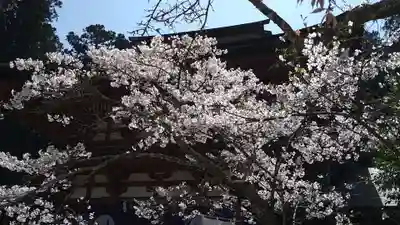 丹生都比売神社(和歌山県)