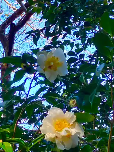 大宮大神(茨城県)