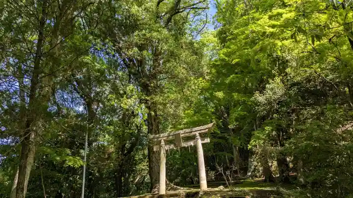 末廣神社の鳥居