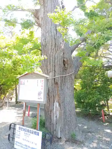 大宮神社(千葉県)