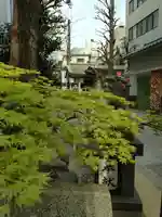 銀杏岡八幡神社(東京都)