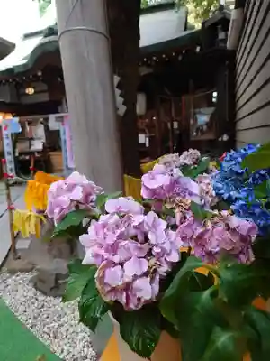 少彦名神社のその他建物