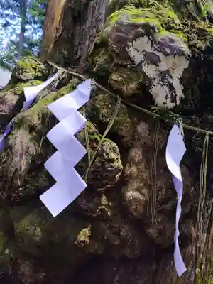 本宮神社（日光二荒山神社別宮）(栃木県)