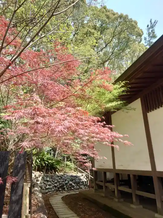 平塚八幡宮(神奈川県)