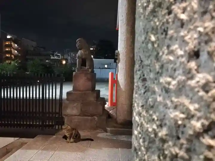 花園神社の動物