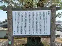 龍圓寺(埼玉県)