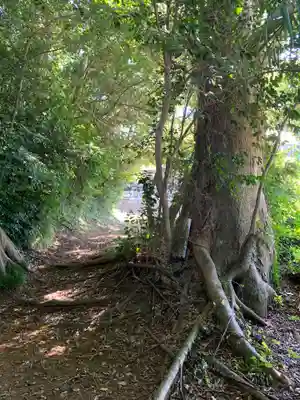 子安神社(千葉県)