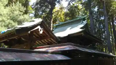丹生神社の本殿・本堂