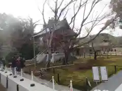 鹿苑寺（金閣寺）(京都府)