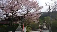 大豊神社の自然