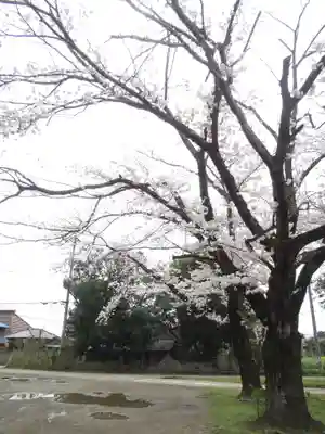 伏木香取神社(茨城県)
