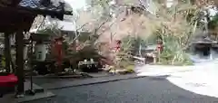 鍬山神社の建物その他