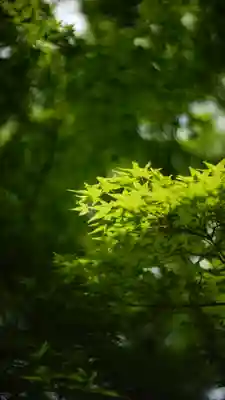 常寂光寺(京都府)