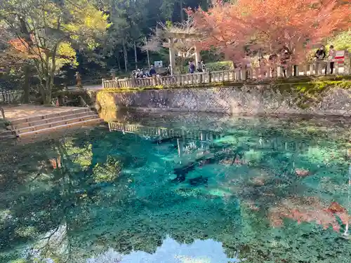 嚴島神社(山口県)