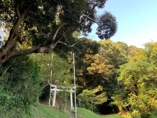 八幡神社の鳥居