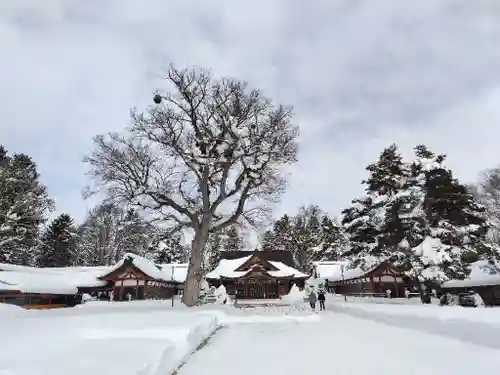 北海道護國神社の本殿・本堂