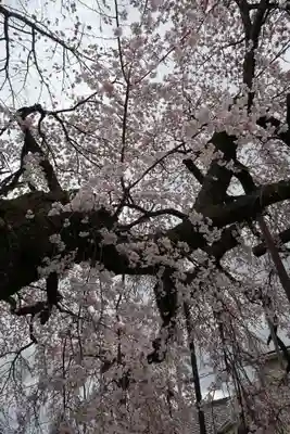 心念寺(三重県)