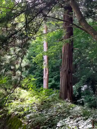 諏訪大社(長野県)