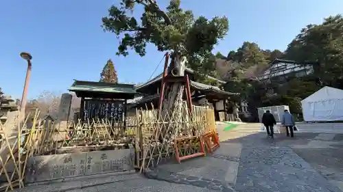 東大寺(奈良県)