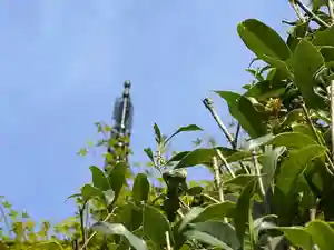 国宝 大法寺(長野県)(2025年09月28日(日) 15時19分47秒投稿)