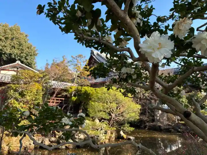 神光院の{uncategorized: "未分類", other: "その他", undefined: "問題あり", building: "その他建物", grave: "お墓", sacred_gate: "鳥居", guardian: "狛犬", statue: "像", buddha: "仏像", history: "歴史", nature: "自然", garden: "庭園", animal: "動物", pagoda: "塔", temizu: "手水舎", mountain_gate: "山門・神門", sanctuary: "本殿・本堂", subordinate: "末社・摂社", art: "芸術", scenery: "景色", jizo: "地蔵", ema: "絵馬", goshuin: "御朱印", omikuji: "おみくじ", items: "授与品その他", amulet: "お守り", goshuincho: "御朱印帳", eats: "食事", festival: "お祭り", votive_dance: "神楽", shichigosan: "七五三参", wedding: "結婚式", experience: "体験その他", initially: "初詣", around: "周辺", anti_infection: "感染症対策"}
