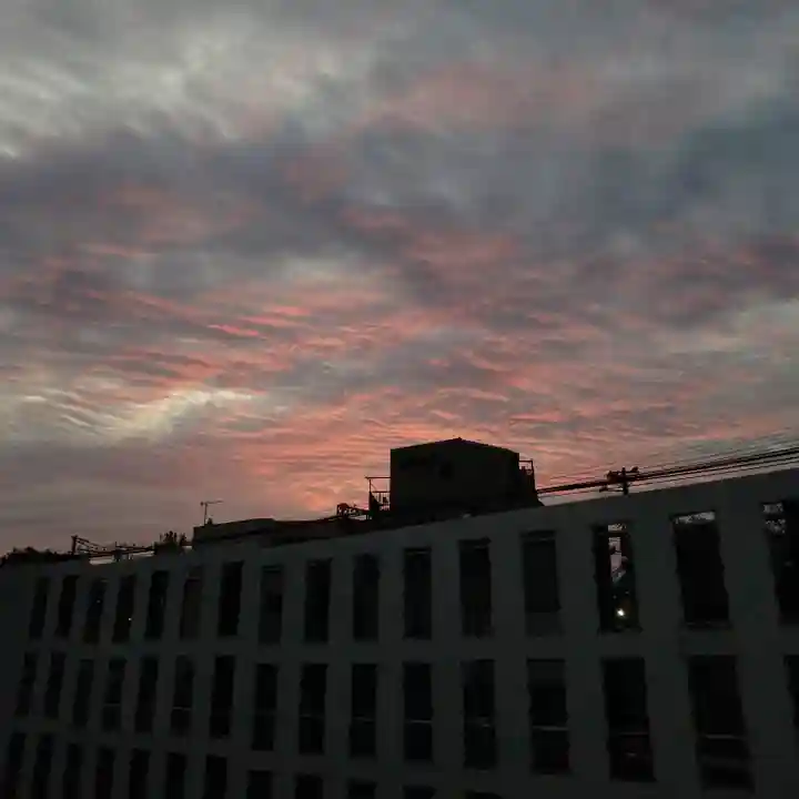 諏訪神社の景色