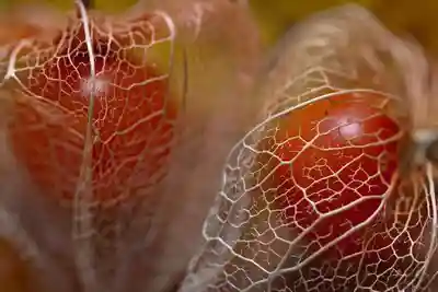 一乗寺の授与品その他