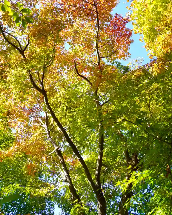 伊達神社の自然