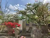 観音寺のお墓