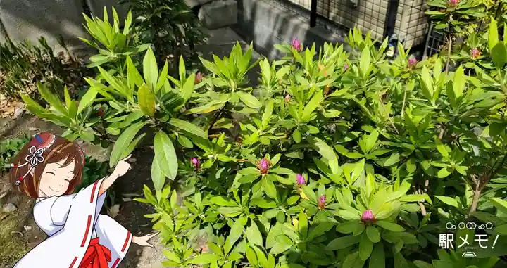 上平井天祖神社の自然
