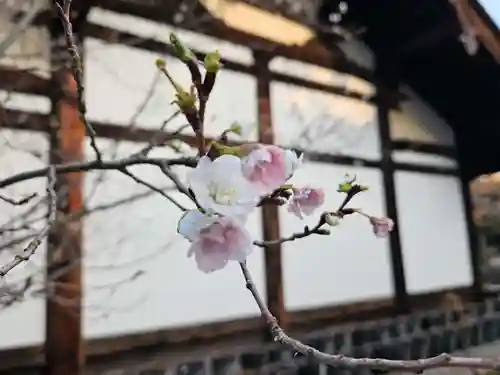 元興寺(奈良県)