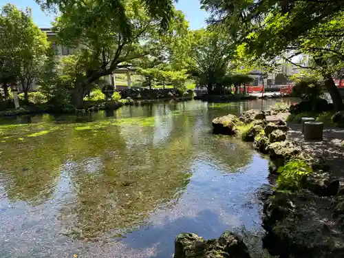 富士山本宮浅間大社(静岡県)