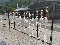 函館八幡宮のおみくじ