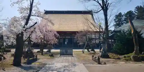 浄興寺の本殿・本堂