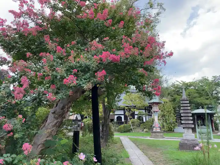 金蔵寺(神奈川県)
