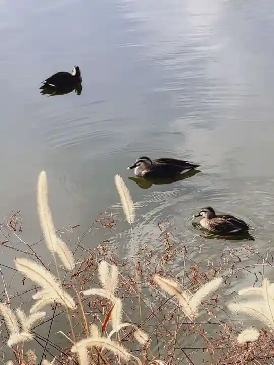 長岡天満宮(京都府)